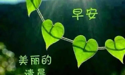 顺芝堂是正规品牌吗-顺香草主治什么病专区_顺芝堂20片多少钱一合专区_顺芝草的功效网